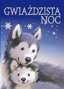 Gwiaździsta noc