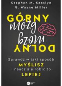 Górny mózg, dolny mózg