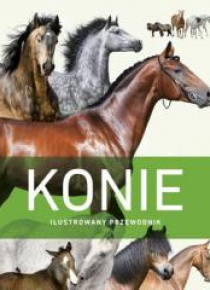 Konie. Ilustrowany przewodnik