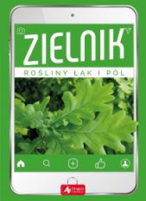 Zielnik. Rośliny łak i pól