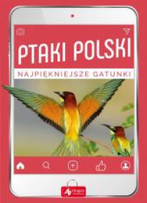 Ptaki Polski. Najpiękniejsze gatunki