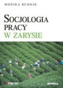 Socjologia pracy w zarysie