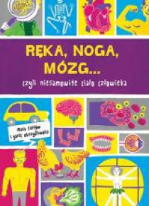 Ręka, noga, mózg... Prawie wszystko o ciele człow.