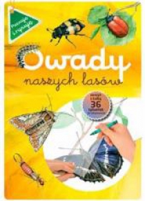 Poznaje i rysuję. Owady naszych lasów