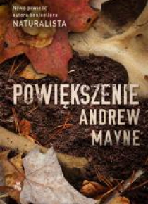 Powiększenie