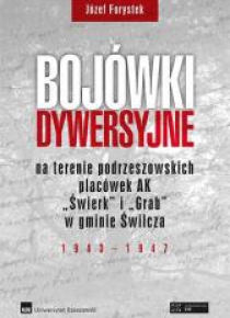 Bojówki dywersyjne BR