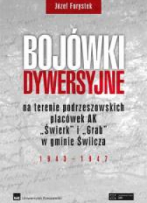 Bojówki dywersyjne TW