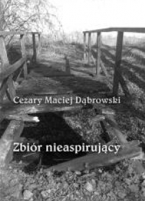 Zbiór nieaspirujący
