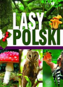 Lasy Polski