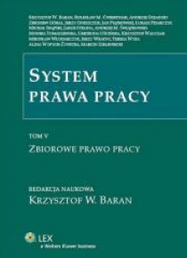 System prawa pracy T.5