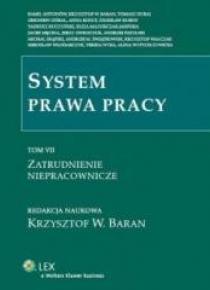 System prawa pracy T.7 Zatrudnienie niepracownicze