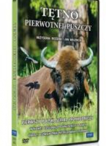 Tętno pierwotnej puszczy DVD