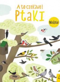 A to ciekawe! Ptaki