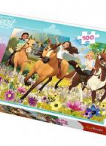 Puzzle 100 Podążaj za marzeniami TREFL