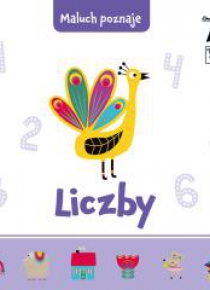 Maluch poznaje. Liczby