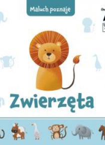 Maluch poznaje. Zwierzęta