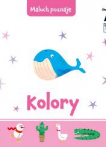 Maluch poznaje. Kolory