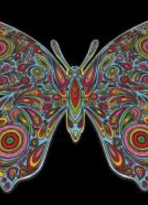 Kolorowanka Welwetowa 47x35 Motyl