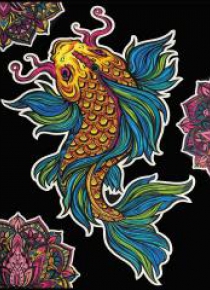 Kolorowanka Welwetowa 47x35 Karp Koi