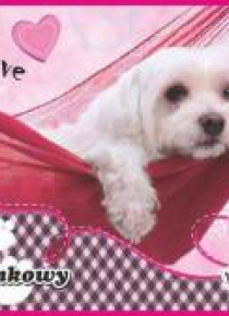Blok rysunkowy A4/20K My Little Friend (10szt)