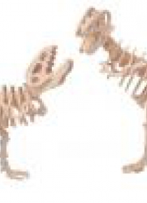 Łamigłówka drewniana Gepetto - 2 Tyranozaury G3