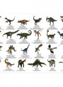 Podkład oklejany edukacyjny dinozaury DERFORM
