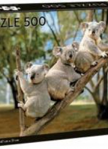 Puzzle Koalas 500 elementów