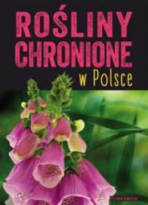 Rośliny chronione w Polsce