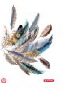 Brulion A4/96K kratka Feathers (5szt)
