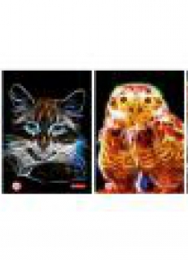 Brulion A5/96K kratka Animal fractals (5szt)
