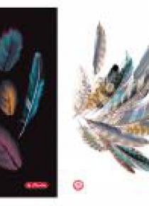 Brulion A5/96K kratka Feathers (5szt)