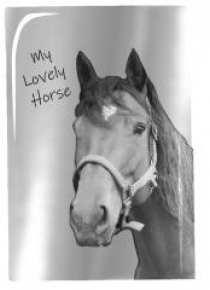 Notes/Pamiętnik Horse PP19KO-3685 PASO