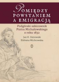 Pomiędzy powstaniem a emigracją