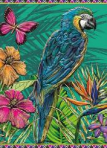 Karnet kwadrat z kopertą Parrot & Butterly