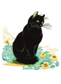 Karnet 17x14cm z kopertą Lucky Cat