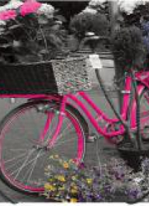Teczka na gumkę A4 z nadrukiem Bike