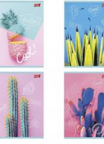 Zeszyt A5/60K linia Cacti (10szt)