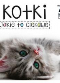 Kapitan Nauka. Jakie to ciekawe. Kotki