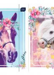 Teczka z gumką A4 + LUX UV Pony (10szt)