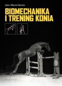 Biomechanika i trening konia