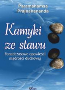 Kamyki ze stawu