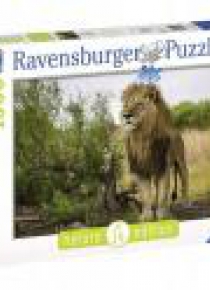 Puzzle 1000 Król lew