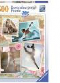 Puzzle 500 Baletnica