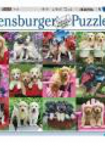 Puzzle 500 Szczenięta przyjaciele