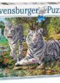 Puzzle 500 Białe tygrysy