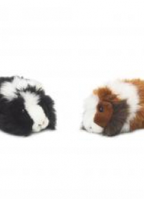 Świnka morska 19cm WWF