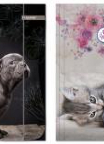 Teczka z gumką A4 The sweet pets 2 wzory