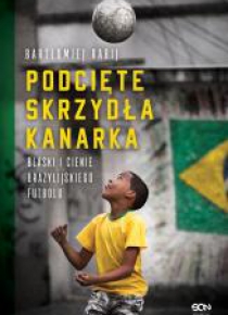 Podcięte skrzydła kanarka