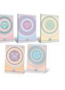 Zeszyt A5/60K kratka Lace (10szt)