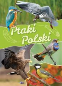 Ptaki Polski TW FENIX